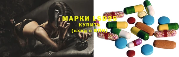 стаф Богданович