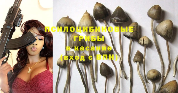 молекула духа Белоозёрский