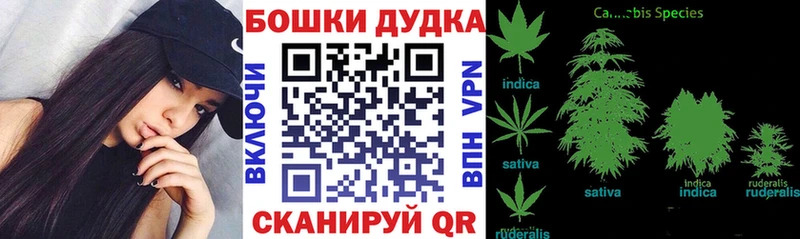 blacksprut   Шумиха  Канабис ГИДРОПОН 